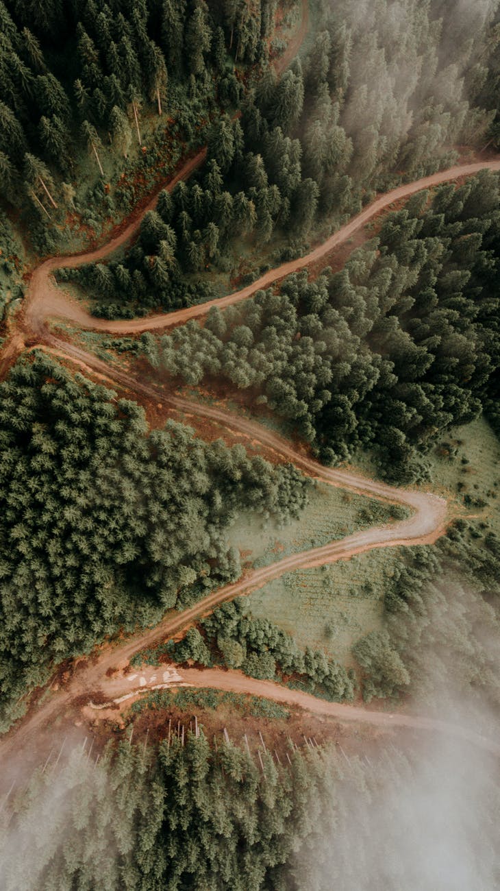 登山者在青苔岩石間伸手扶持同伴前行