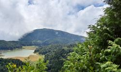 Featured image of post 宜蘭太平山一日遊：翠峰湖＆檜木原始林步道＆鳩之澤