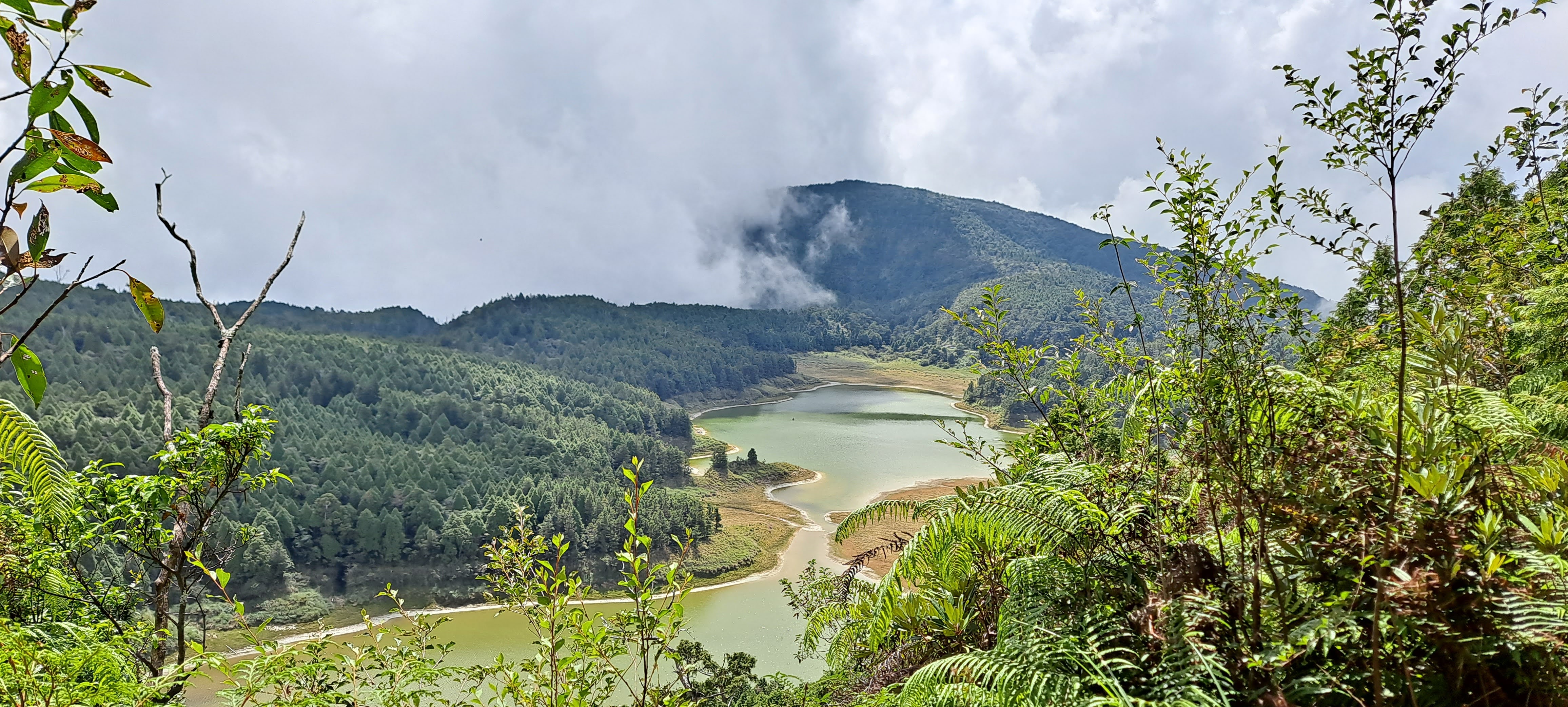翠峰湖畔景色，湖水在蕨類與樹林前展開，遠山雲霧繚繞